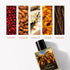 Mashooqa — Smells Like Falling in Love 50ml perfume.