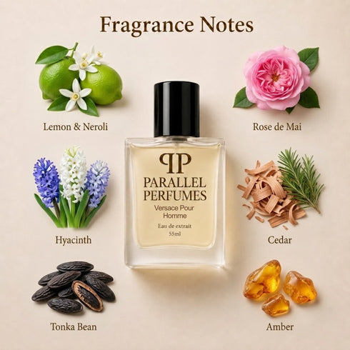 Versace Pour Homme Inspired Perfume