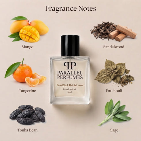 Polo Black by Ralph Lauren Inspired Perfume