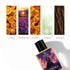 Dhundhala — Unmask Your Dark Side 50ml perfume.