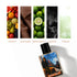 TOKYO DRIFT — The Scent of Speed 50ml perfume.