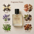 The One Gentleman Dolce&Gabbana Inspired Perfume