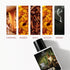 GTA — OWN THE STREETS 50ml perfume.