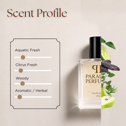 Acqua di Giò Absolu Giorgio Armani Inspired Perfume