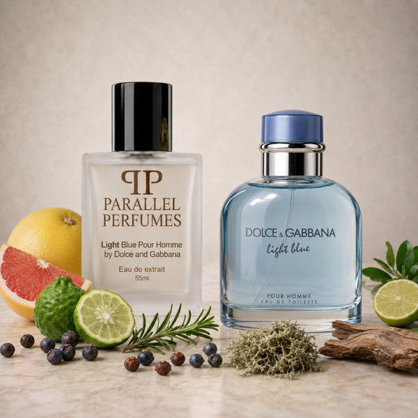 Light Blue Pour Homme by Dolce and Gabbana Inspired Perfume