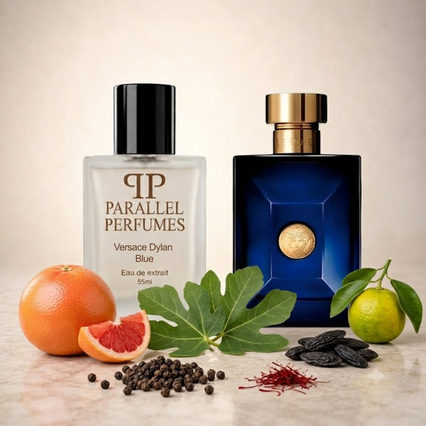 Versace Pour Homme Dylan Blue Inspired Perfume
