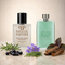 Gucci Guilty Cologne Inspired Perfume