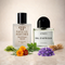 Byredo Bal D'Afrique Eau De Parfum Byredo Inspired Perfume
